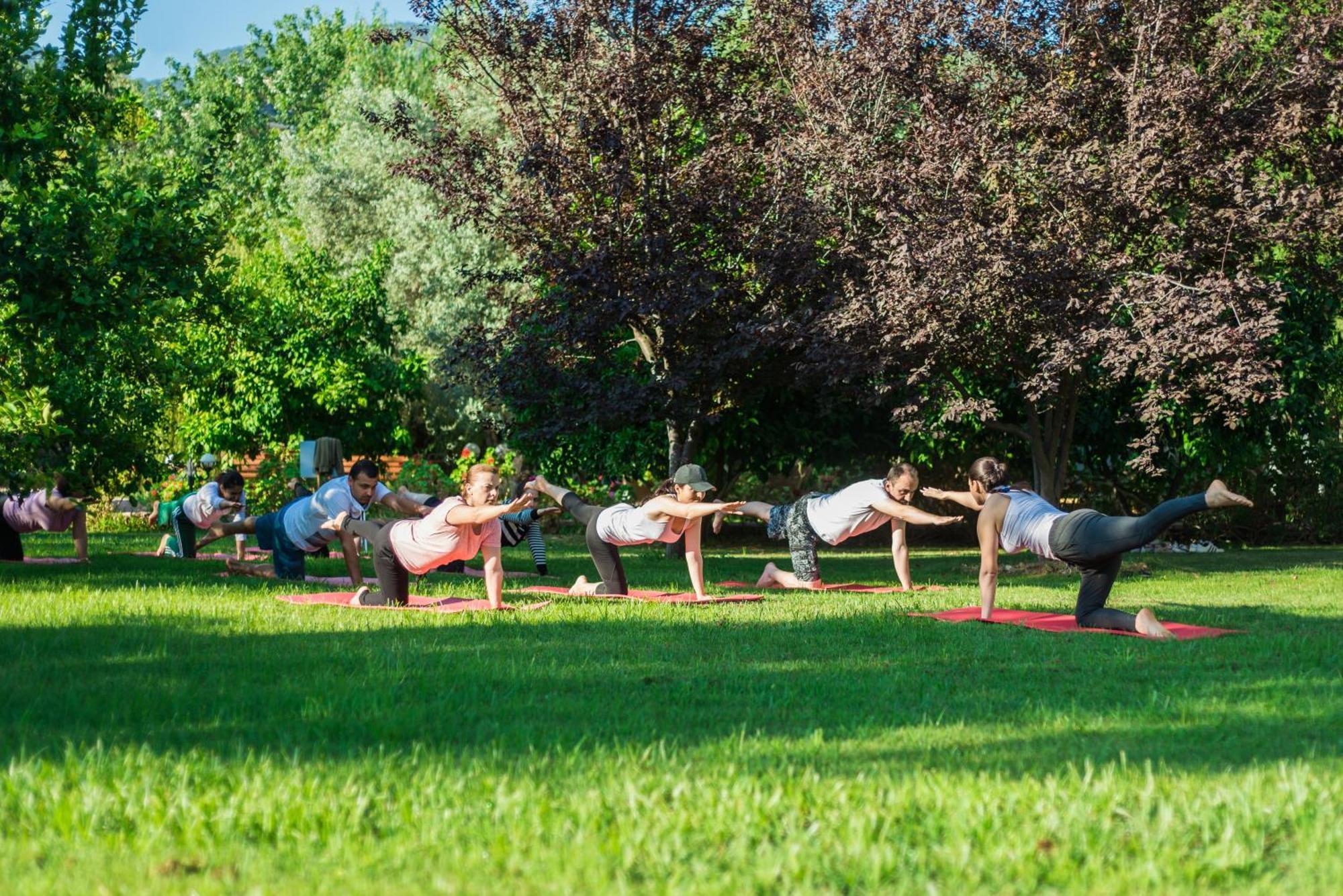 Hotel Naturmed Thermal Springs And Health Center